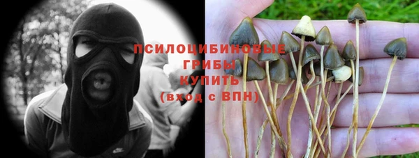 индика Алексеевка