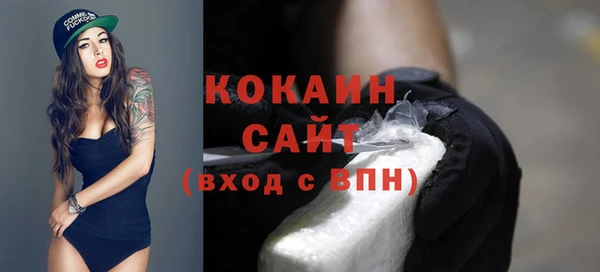 Альфа ПВП Пестово
