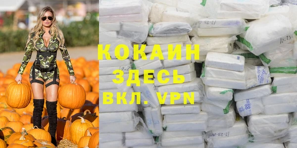 твердый Алзамай