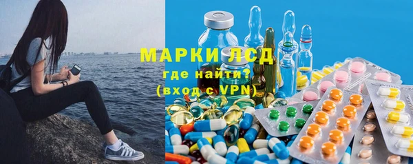 индика Алексеевка