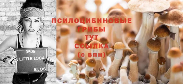 индика Алексеевка