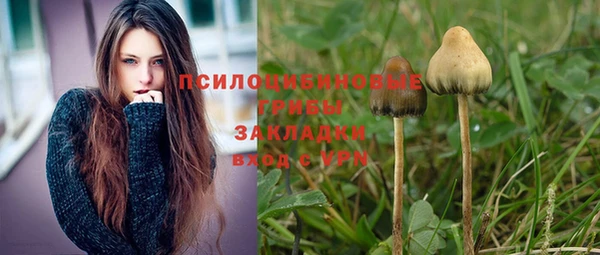 твердый Алзамай